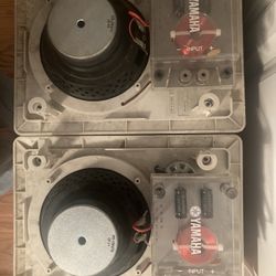 Speaker 