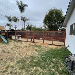 Dog Run