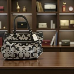 New Coach Large Bag Purse 