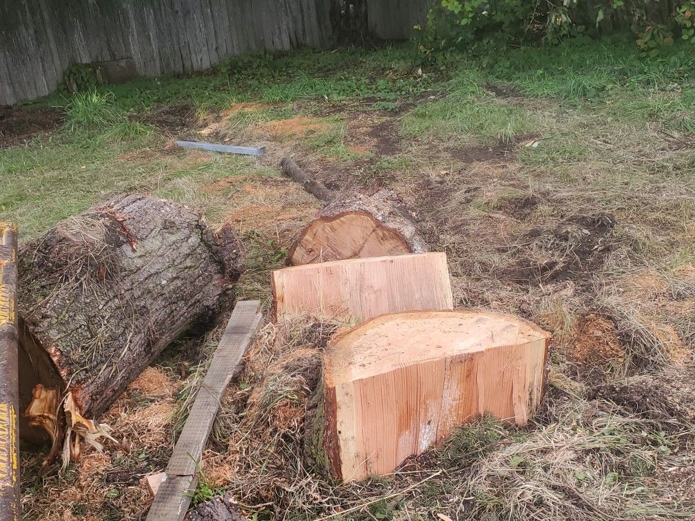 Firewood