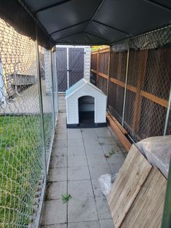 XL Dog House
