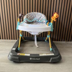 Baby Activity Walker