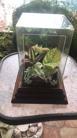 Artificial terrarium