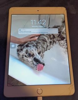 iPad mini 4