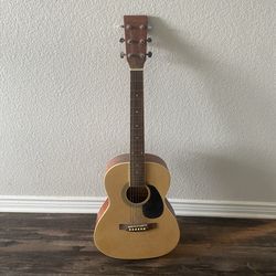 Acoustic learning guitar