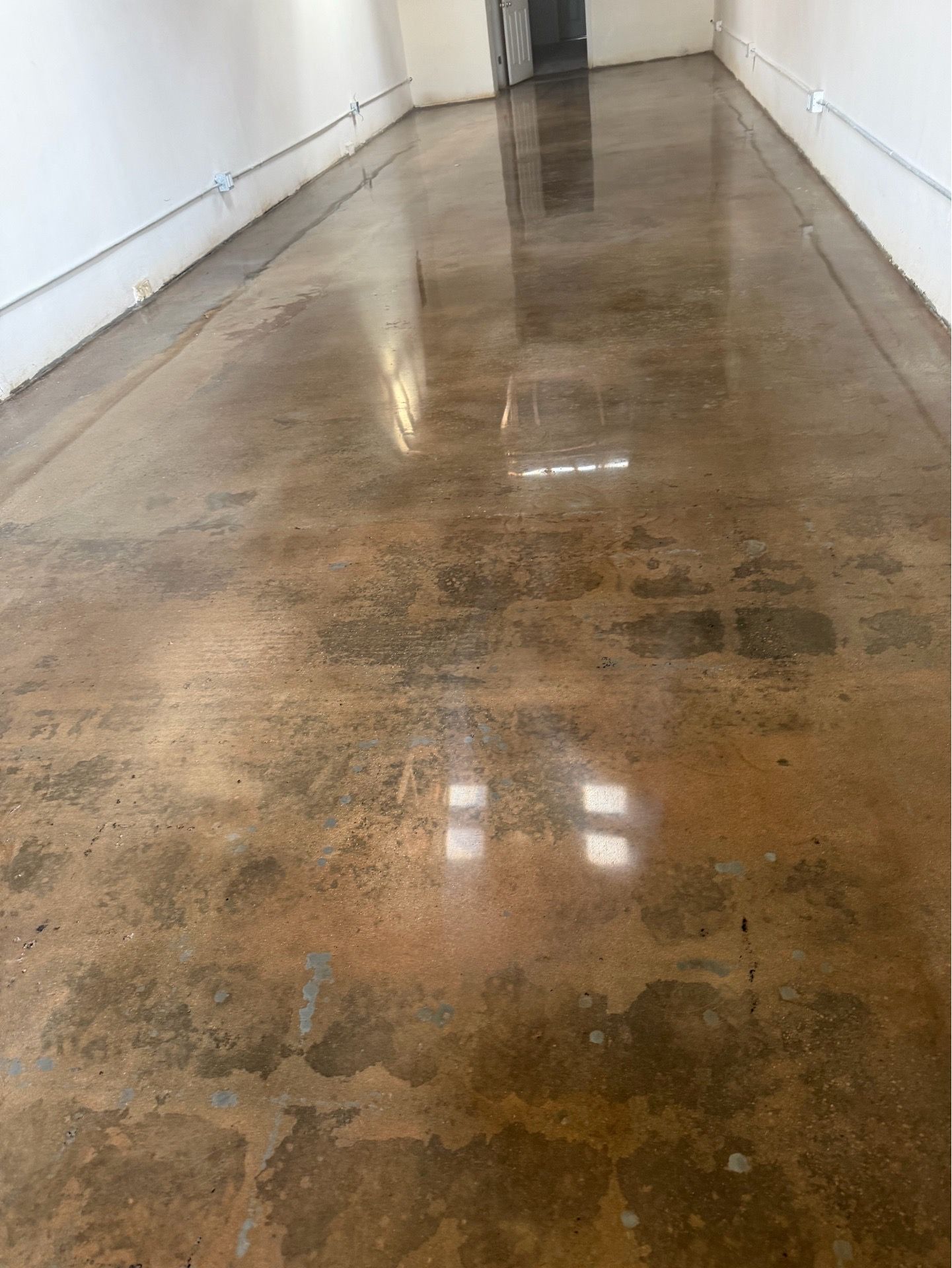 Polish concrete