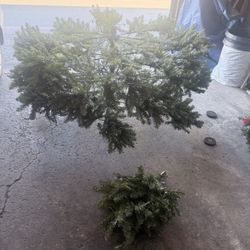 8ft Christmas Tree 