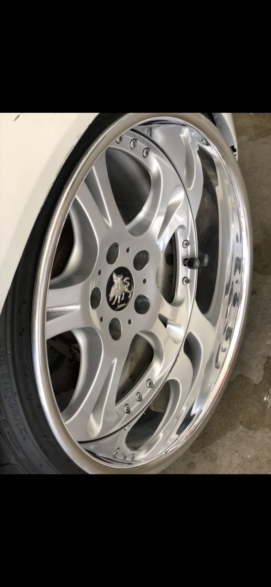 WEDS KRANZE CERBERUS 1