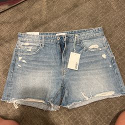 Vervet L Woman’s Shorts 
