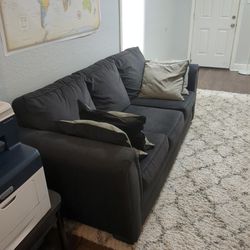 Two Couches + Rug 