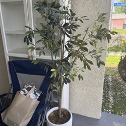 Artificial Olive Tree Plant . 
