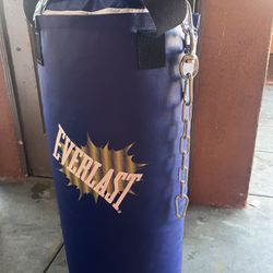ever last punching bag kit 40lb