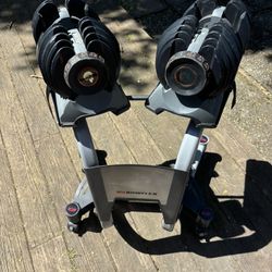 Adjustable Dumbbells