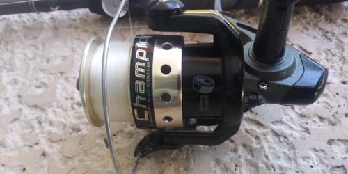 Champion Fishing Reel Set