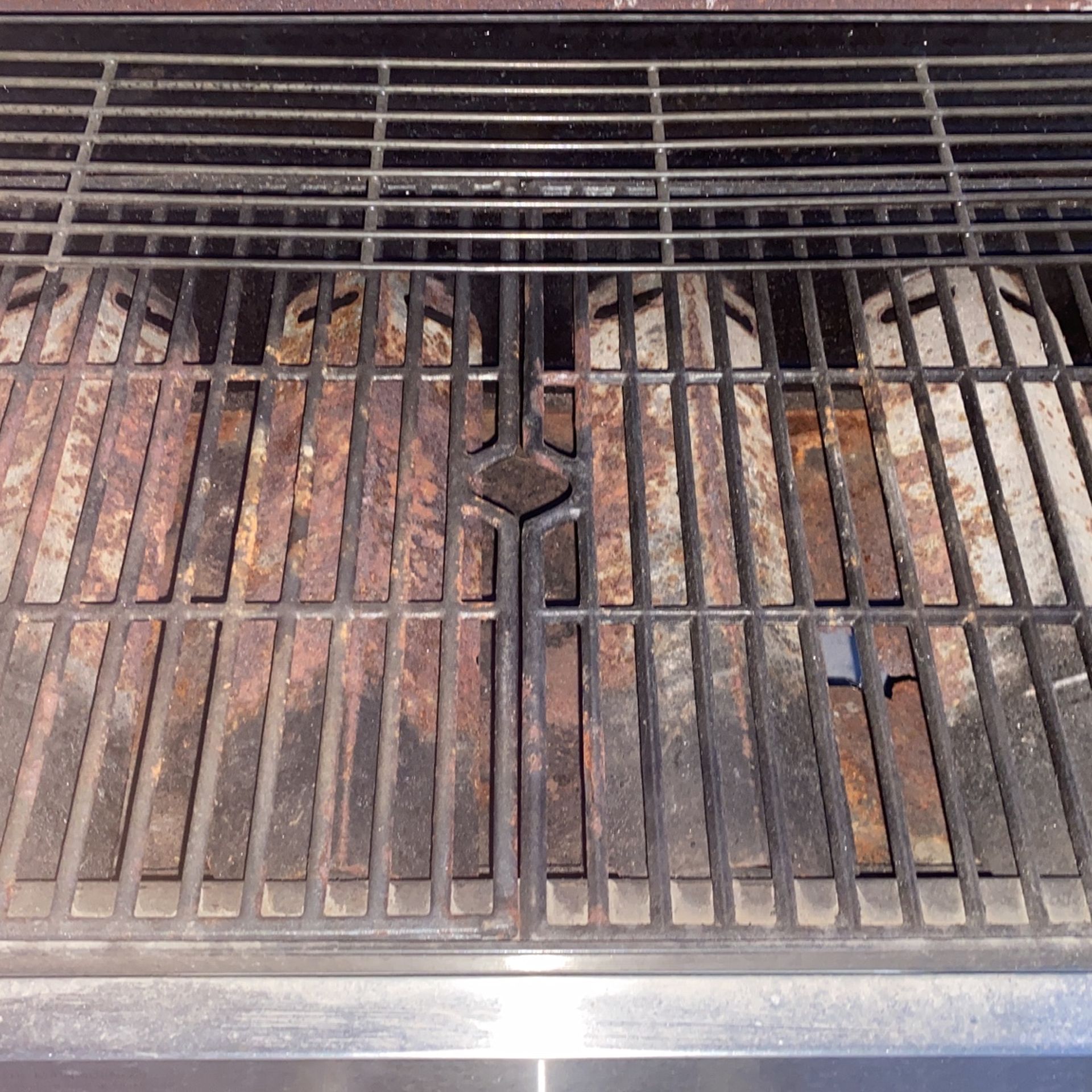 grill gas propane stainless by Savor Pro with temperature gauge and