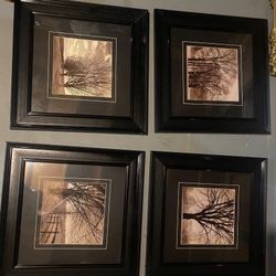 Pictures 