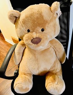 Brown Bear 21 Inches Tall 