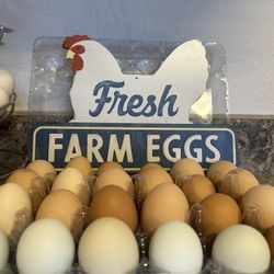 Dozen Eggs
