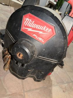 Milwaukee snake