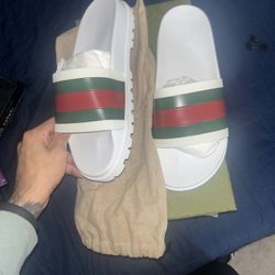 Gucci Web Slides For Men