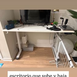 office desk (goes up and down)