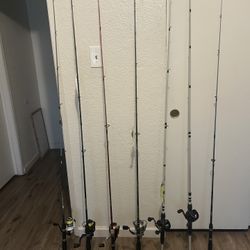 Fishing Poles ‼️‼️