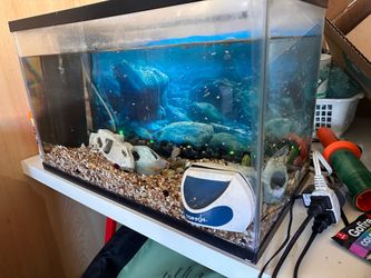 Complete Fish tank