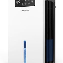 Dehumidifier Amazon $99