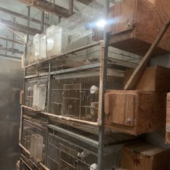 Breeder Cages Set Up