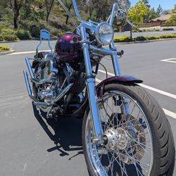 2000 Harley Davidson Softail Standard