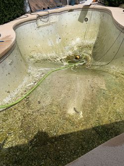 POOL ACID RINSE OR CHLORINE RINSE