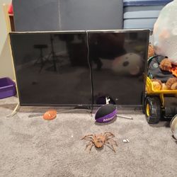 Samsung 42"
