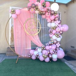 Balloons And Backdrops 