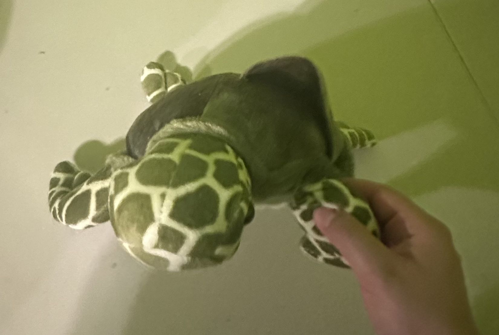 Turtle Green Stuffed Animal