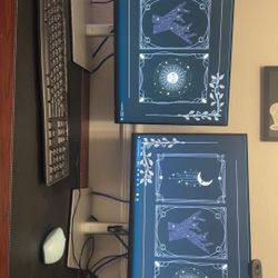 2 DELL Monitors