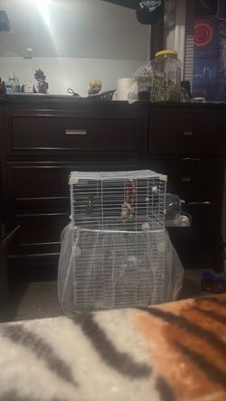Forsale cheap