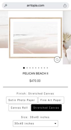 Artopia Pelican Beach II