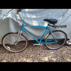 Vintage90s Schwinn bike  26"