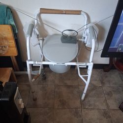 Bedside toilet