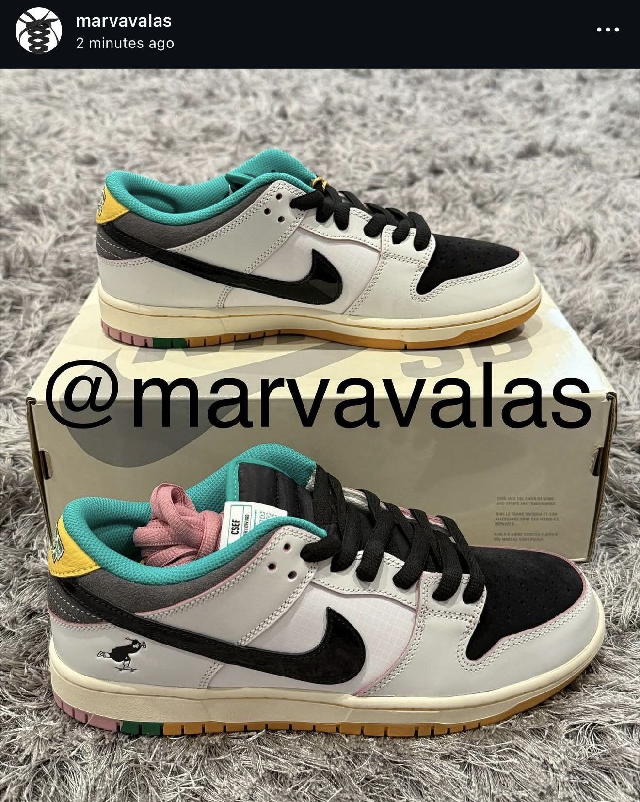 Nike SB Dunk Low CSEF. Mens 10