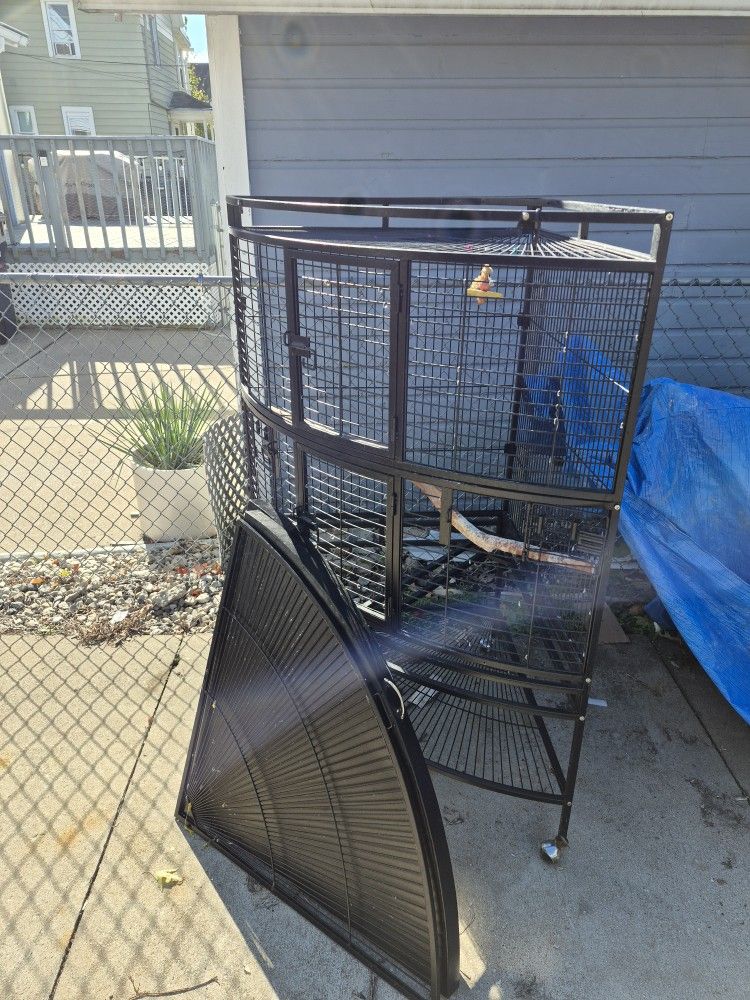 Bird Cage