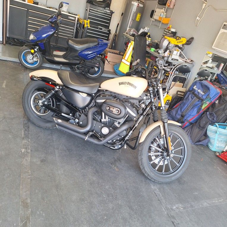 2015 Harley Davidson Iron XL883n