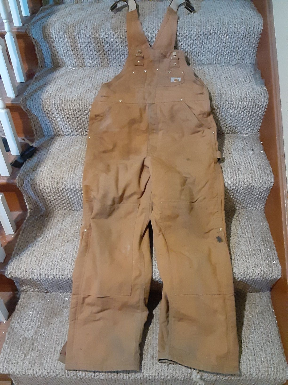 Carhartt fleece lined overalls