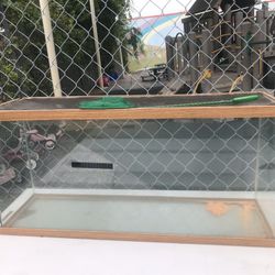 Fish Tank/ Bowl/Aquarium 