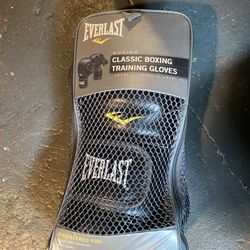 Everlast Boxing Gloves
