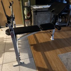 Olympic Weight Bench Lx Performance And Bar 