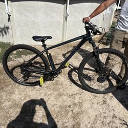 Specialized Large Mountain bike 