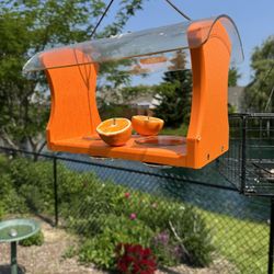 Oriole, bluebird feeder