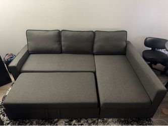 Gray pull out couch