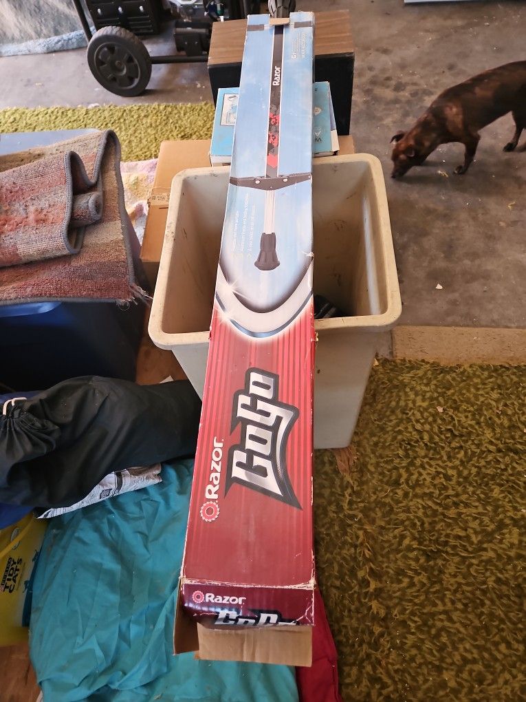 Razor GoGo